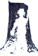 The tape figure at location 293, dedicated to Michael Healey