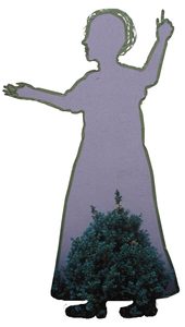 The tape figure at location 6, remembering Erica H Van Acker
